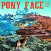 Pony Face